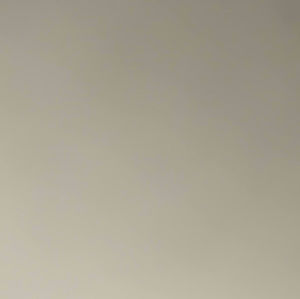 Meet your Posher, Racquel